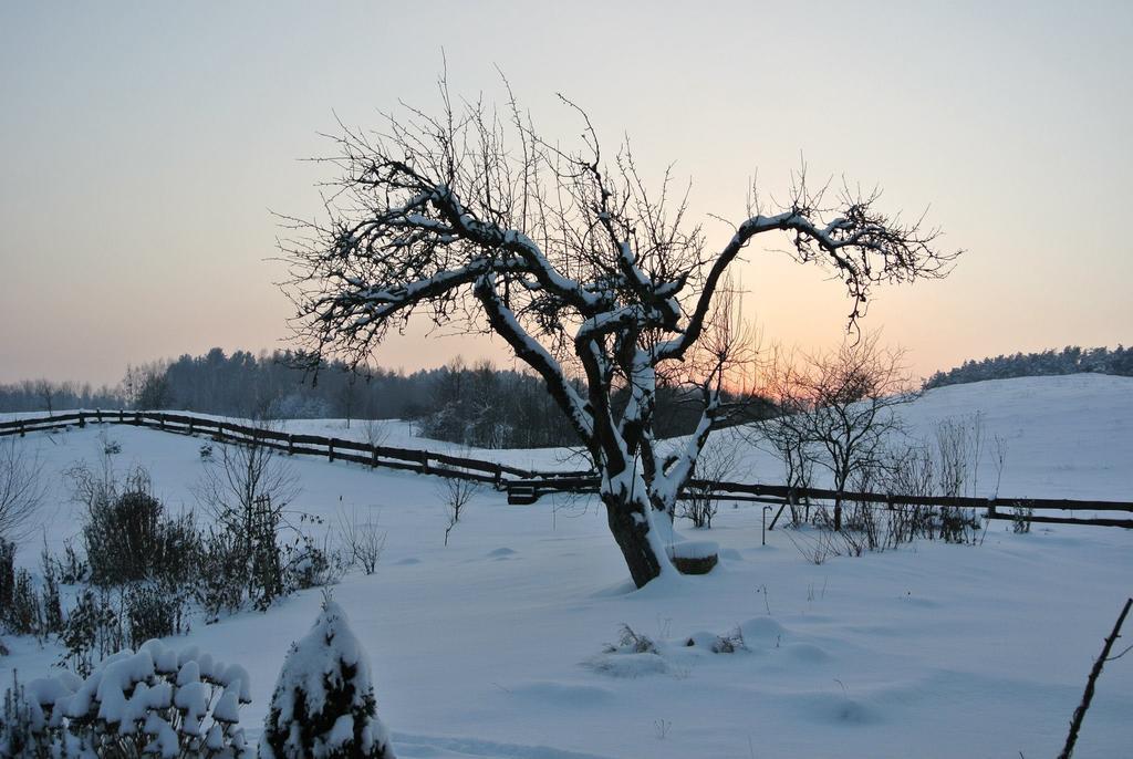 Penzion Jora Siedlisko Jora Wielka Exteriér fotografie
